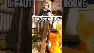 Miniature : j'adopte un chat mais... #humour #gaming #CYRILmp4