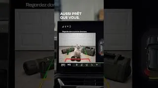 Miniature : Pas question qu’il manque le voyage.