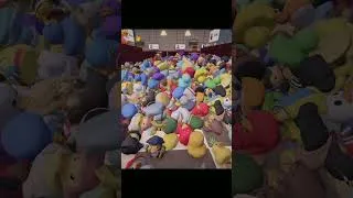 Miniature : Jour 1 Sort Them Ducks #gaming