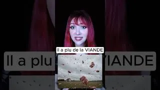 Miniature : Il a plu de la VIANDE