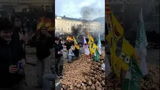 Miniature : Le feu devant le parlement européen Bruxelles colère Agriculteur