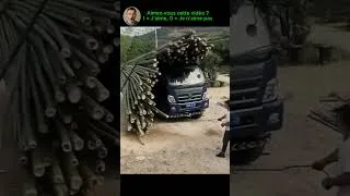 Miniature : Les vidéos de travail les plus satisfaisantes du début à la fin 11 #vidéossatisfaisantes