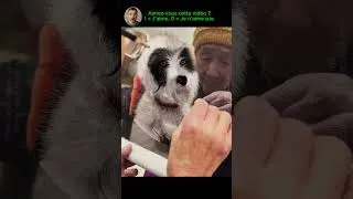 Miniature : Les vidéos de travail les plus satisfaisantes du début à la fin 9 #vidéossatisfaisantes