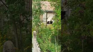 Miniature : Petite urbex dite le moi en commentaire