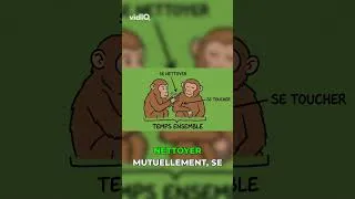 Miniature : Rire vs Écran: Le secret de la vraie connexion humaine!