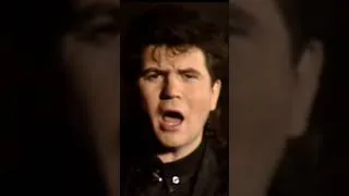 Miniature : Balavoine , 40 ans déjà 😢 #balavoine