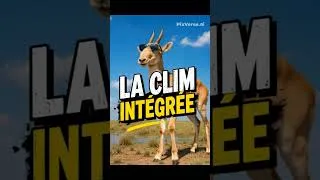 Miniature : L'animal qui a un nez de Star Wars ! 🐘🦌#nature #facts #animals