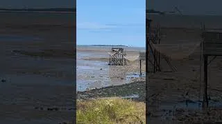 Miniature : Évasion vers... l'île Madame 😁