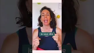 Miniature : Rougaï : mon chien détruit tout par stress !