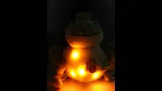 Miniature : Vidéo Twinkling Firefly Frog de Cloud b