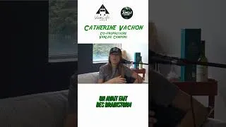 Miniature : D'où viennent les noms de leurs vans ? | Catherine Vachon | Dans la Jungle des Affaires #853