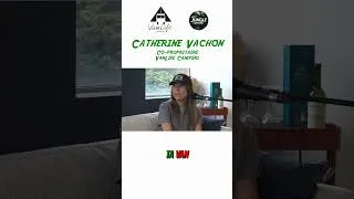 Miniature : Ça coûte combien une van aménagée ? | Catherine Vachon | Dans la Jungle des Affaires #853