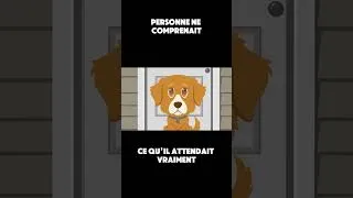 Miniature : 10 ans plus tard, il était encore là #comportementanimal #goldenretriever #animalintelligence