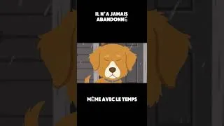 Miniature : La promesse qu’il n’a jamais oubliée #comportementanimal #goldenretriever #psychologiecanine