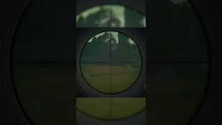 Miniature : le "bon chasseur" et le "MAUVAIS chasseur" ... 🤣 #thehuntercallofthewild #chasse #humour
