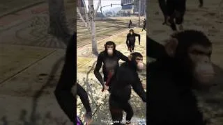 Miniature : GTA 5 - Les singes viennent de sortir du zoo