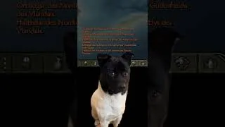Miniature : Le bouquet final d'une aventure moisie sur Bannerlord