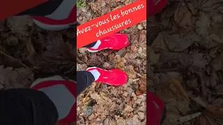 Miniature : Avez-vous la bonne paire de chaussures 🧐🧐🧐