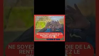 Miniature : Ne soyez pas la proie de la rentrée. Devenez le prédateur. 🥋🔥