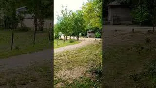Miniature : Un spot pour van au Marais Poitevin !