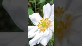 Miniature : J'suis obligé, j'ai pas le choix