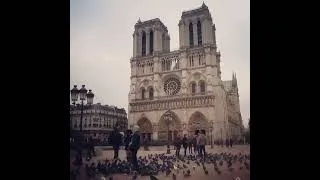 Miniature : David Saroni France : Notre-Dame de Paris, Splendeur d'Avant l'Incendie