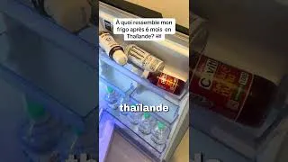 Miniature : À quoi ressemble mon frigo après 6 mois en Thaïlande 🇹🇭#thailande #frigo