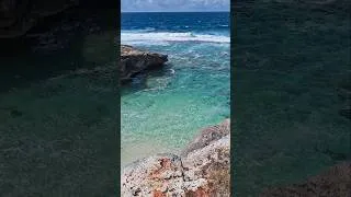 Miniature : île Rodrigue - les criques