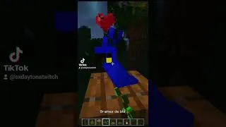 Miniature : EASY MINECRAFT PARROT CAGE