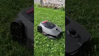 Miniature : de 2 ans à 70 ans, tout le monde adore la Mova LidaX Ultra! #tondeuse #jardinage #gadgets