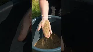 Miniature : Amorce carpe été