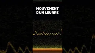 Miniature : COMMENT FONCTIONNENT LES SONARS