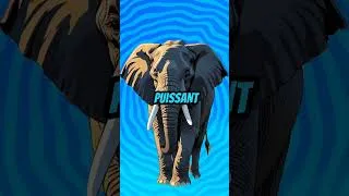 Miniature : TOP 5 : Voici le 5e animal le plus dangereux du monde ! 🐘 (Tu ne vas pas y croire...)