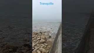 Miniature : réveil en douceur 😘