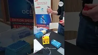 Miniature : Festival du CNRS 2024 | Mission eau claire : l'effet de l'eau sur nos cellules