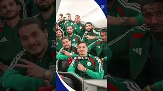 Miniature : pourquoi l'algerie a perdu contre l'argentine #coupedumonde #algerie #shorts