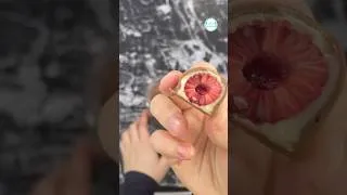 Miniature : ✨ FRANUÌ MAISON ✨