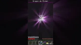 Miniature : J ai essayé de tuer le dragon le plus rapidement