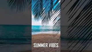 Miniature : This Afro House Track Feels Like Summer 🌞