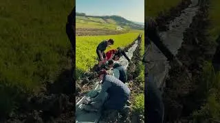 Miniature : Le CDJ met la main à la terre