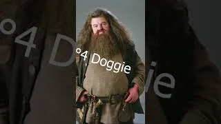 Miniature : Top 5 GD players