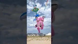 Miniature : Festi Vent La Turballe16