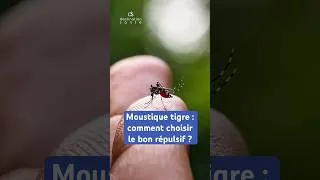 Miniature : Moustique tigre : comment choisir le bon répulsif ?