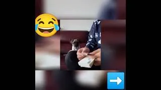 Miniature : 😂😂😂😂 #shorts