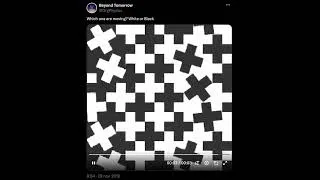 Miniature : Which one are moving? White or Black