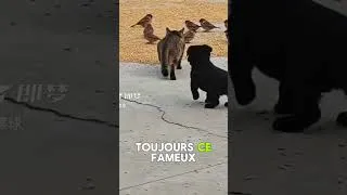 Miniature : Le vrai obstacle dans ta vie c’est souvent ton entourage