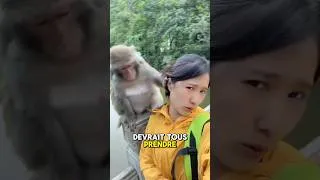 Miniature : Plus sérieux dans son travail que la majorité des gens 😂