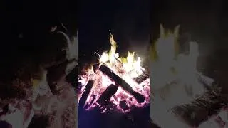 Miniature : ASMR nature feu de camp zen 2