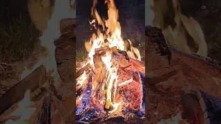 Miniature : ASMR nature feu de camp zen