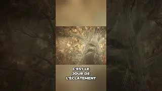 Miniature : L'histoire qui justifie notre arrivée dans Elden Ring